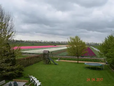 a view of a field of tulips with a playground at Holiday Home in Noordbeemster with Bubble Bath in Noordbeemster
