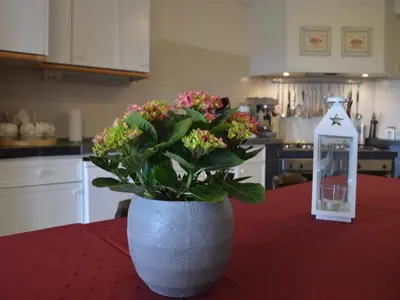 a vase with flowers on a table in a kitchen at Holiday Home in Noordbeemster with Bubble Bath in Noordbeemster