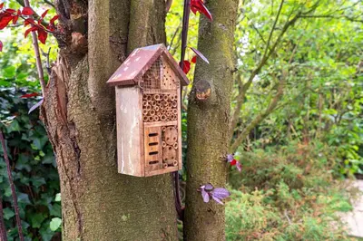 a wooden bird house attached to a tree at The Green Oasis charming family villa with garden and private parking in Zandvoort