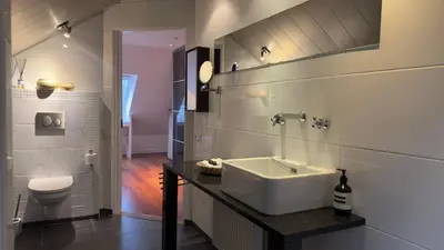 a bathroom with a sink and a toilet at Loft 55 Bergen-Schoorl Luxury Appartement 165m2 in Schoorl