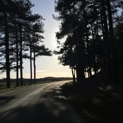 an empty road with trees on the side at Loft 55 Bergen-Schoorl Luxury Appartement 165m2 in Schoorl