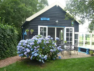 a small house with blue flowers in the yard at Hortensia Eiland in Zegveld