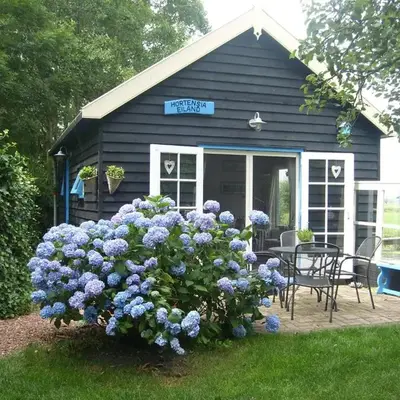 Hortensia Eiland