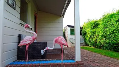 two pink flamingos standing on the porch of a house at Delightful tropical retreat close to the sea in Warmenhuizen