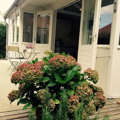 a porch with a bunch of flowers on it at Tiny House Madame Jeanette nabij centrum en zee in Zandvoort