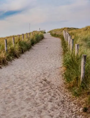 a dirt path on a beach with a fence at De Strandgaper Egmond in Egmond aan den Hoef