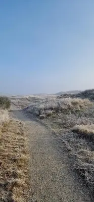 a dirt road in the middle of a field at Beautiful loft in Katwijk aan Zee in Katwijk aan Zee