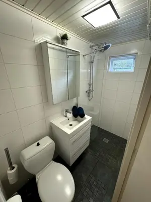 a white bathroom with a toilet and a sink at 3 bedrooms Family House till 6 p Near Amsterdam & Sea in Opmeer