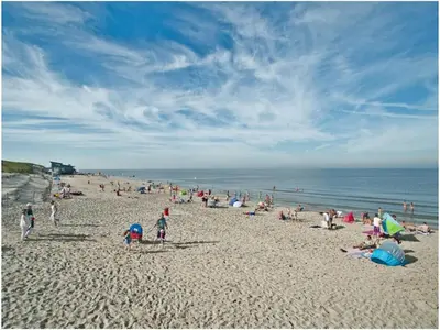 a large group of people on a beach at 
