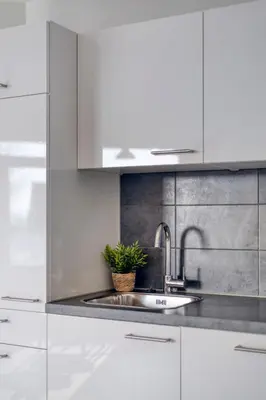 a kitchen with white cabinets and a sink with a plant at Comfortable Stay Near The Coast in Burgerbrug
