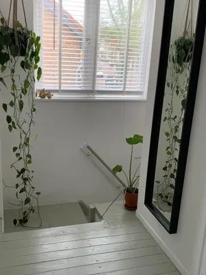 a room with potted plants and a window at Botanico - family house in Egmond aan Zee