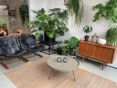 a living room filled with lots of potted plants at Botanico - family house in Egmond aan Zee