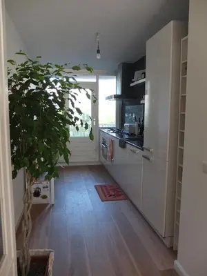 a kitchen with white cabinets and a potted plant at Cozy 2 Bedroom Home Away from Home in Amsterdam