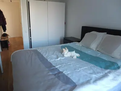 a kitten sitting on a bed with a blue blanket at Cozy 2 Bedroom Home Away from Home in Amsterdam