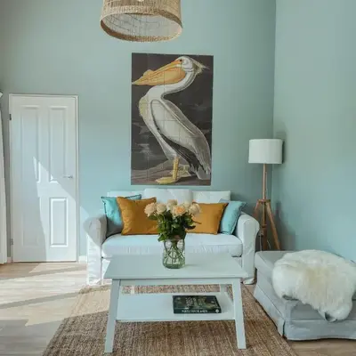 The Pelican