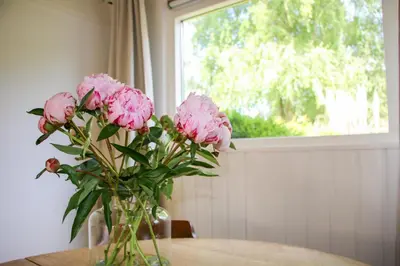 a vase filled with pink flowers sitting on a table at Strandbries in Warmenhuizen