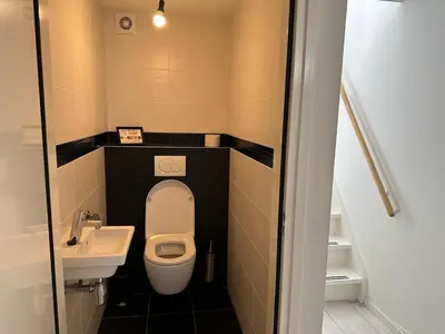 a small bathroom with a toilet and a sink at Houseboat the Otter incl free boat and supboards in Loosdrecht