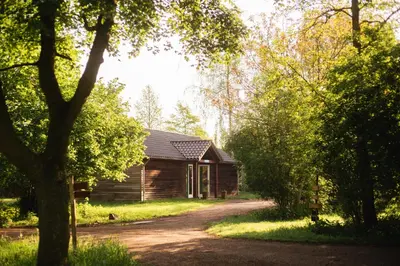 a cabin in the woods with a dirt road next to it at Glamping belltent in het groen in Zeewolde