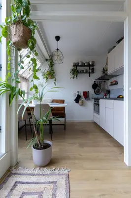 a kitchen and dining room with a potted plant at East-Side Living in Amsterdam