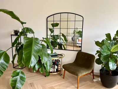a room with plants and a chair and a mirror at Spacious and modern apartment in Amsterdam