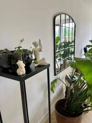 a black side table with plants and a mirror at Spacious and modern apartment in Amsterdam
