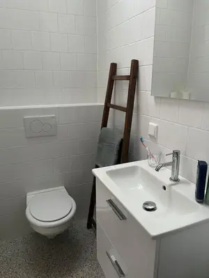 a bathroom with a white toilet and a sink at Ons Bijhuis in Wijk aan Zee