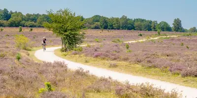 a person riding a bike on a dirt road at Rekerlanden 58 - De Boet in Warmenhuizen