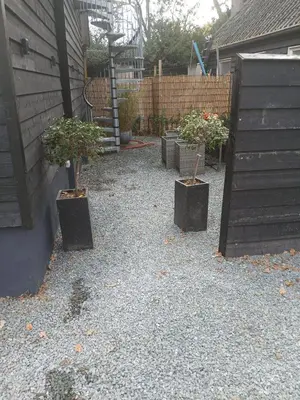 three potted plants are sitting in a yard at Fuchsiahoeve in Blaricum