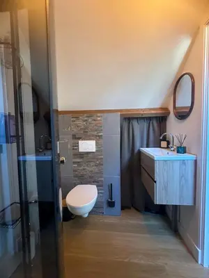a bathroom with a toilet and a sink and a shower at Fuchsiahoeve in Blaricum