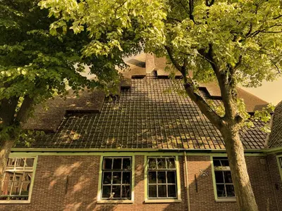 a roof on top of a house with trees at De Noorderzon in Benningbroek
