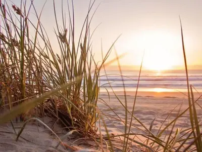 a sunset on the beach with grass at Holiday Home Sunset by Interhome in Noordwijkerhout