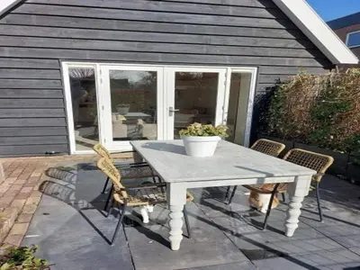 a table and chairs with a potted plant on a patio at Dirkshorn Holiday Home for 4 in Dirkshorn