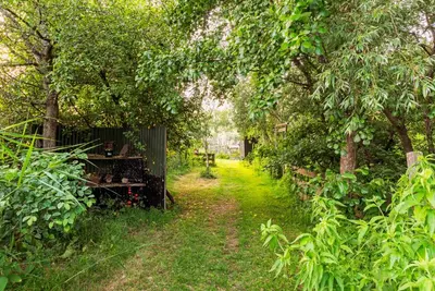 a path through a garden with trees and a fence at farmhouse in Wijdewormer