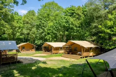 a group of tents in a field with trees at Buytenplaats Gooise Heide in Huizen