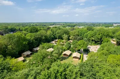 an overhead view of a forest with trees and huts at Buytenplaats Gooise Heide in Huizen