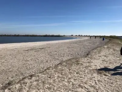 a sandy beach with people walking along the water at Apartment Chalet Meise by Interhome in Wervershoof