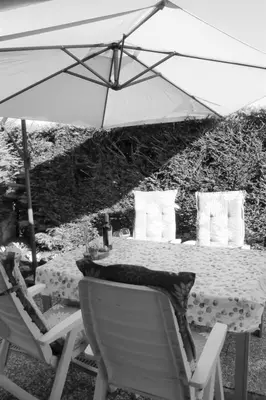 a table and chairs with an umbrella and a cat on it at Holiday Home by Interhome in Wervershoof
