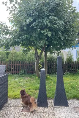 a dog standing between two posts in a garden at Apartment Haus Moony by Interhome in Wervershoof