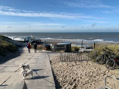 a white dog sitting on a sidewalk near the beach at Holiday Home in Dirkshorn by Interhome in Dirkshorn