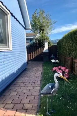 a bird standing in the grass next to a house at Holiday Home Haus DE BLAUWE REIGER by Interhome in Wervershoof