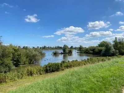 a river with a group of ducks in the water at Apartment Chalet Welcome direkt am Wasser mit eigenem Steig by Interhome in Wervershoof