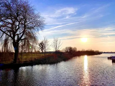a river with a tree and the sun in the sky at Apartment Chalet Welcome direkt am Wasser mit eigenem Steig by Interhome in Wervershoof