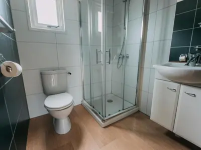 a bathroom with a shower and a toilet and a sink at Holiday Home Strandhaus direkt am Meer by Interhome in Wijk aan Zee