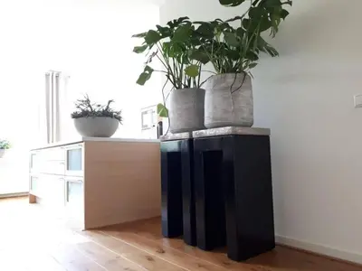 a kitchen with potted plants on top of a counter at Unique B&B, in the Historic City Centre of Edam in Edam