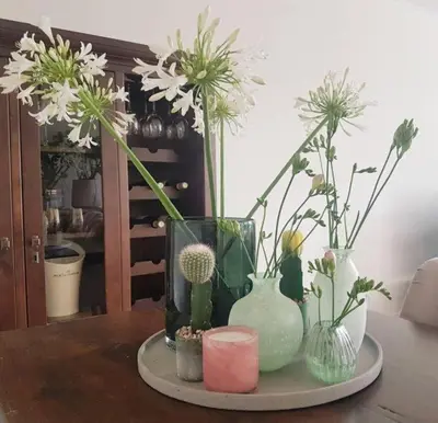 a table with several vases and flowers on it at Unique B&B, in the Historic City Centre of Edam in Edam
