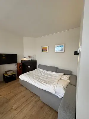 a bedroom with a bed and a couch and a television at Authentic sunny Amsterdam Jordaan apartment in Amsterdam