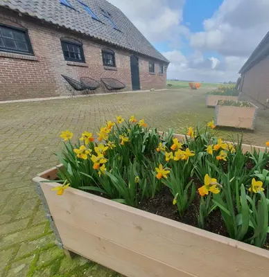 a wooden flower bed with yellow flowers in front of a building at De Wagenloods in Alphen aan den Rijn