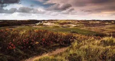 a field of grass with flowers and a dirt road at Logies at the sea in Katwijk aan Zee