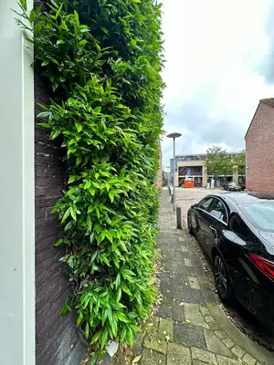 a green hedge on a wall next to a car at C-Home in Utrecht