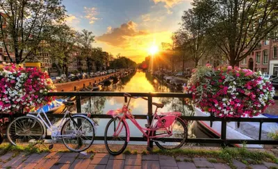 two bikes parked next to a river with flowers at Private apartment with garden, close to Amsterdam in Assendelft
